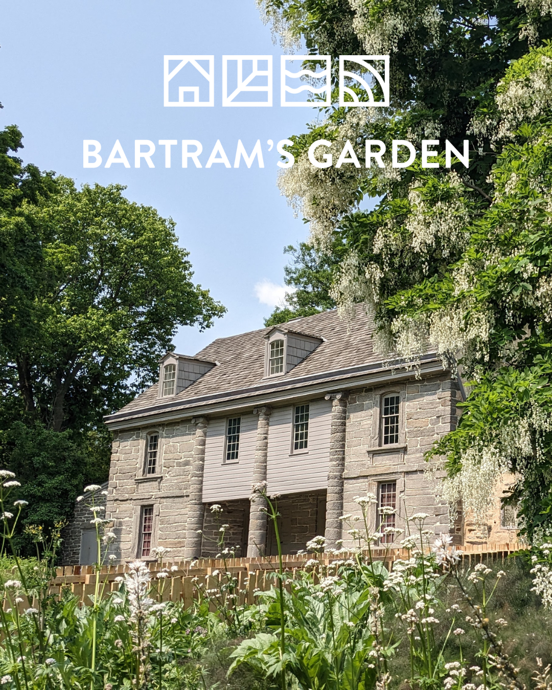 The facade of the Bartram house, with the yellowwood tree blooming in the foreground, overlaid with the Bartram's Garden logo in white.